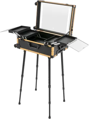 Aluminum Trolley Makeup Train Case Large Rolling Cosmetic Organizer with LED light and Mirror & Adjustable Legs Professional Trolley Studio Free Standing Makeup Vanity Station for Trave
