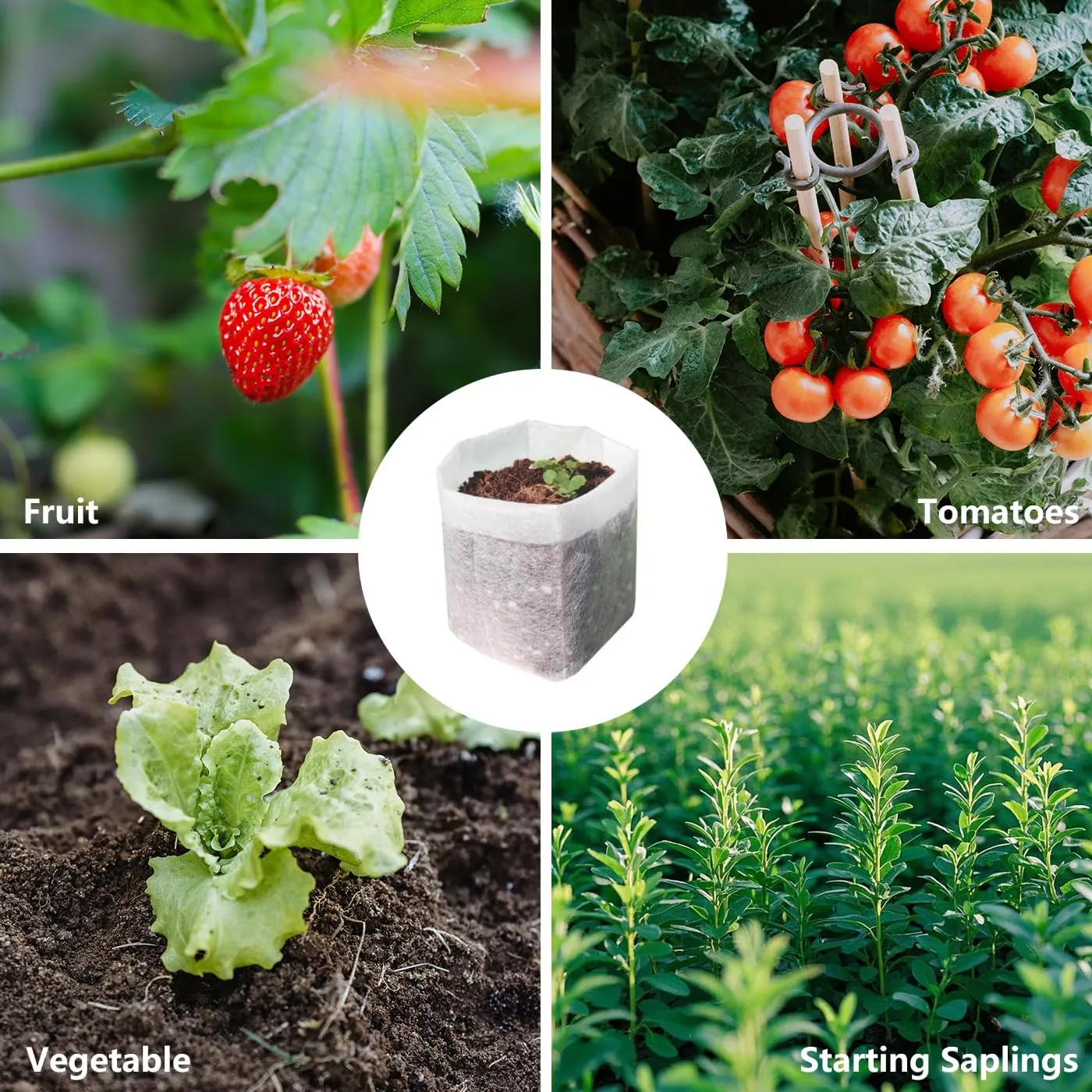 Belit Nursery Growing Bags, 200 Pcs Fabric Seedling Pots Non-Woven Pouch for Gardening Seed Plant Bag, Potato, Flower, Tomato Plant Starts (5.7" x 5.7 ")