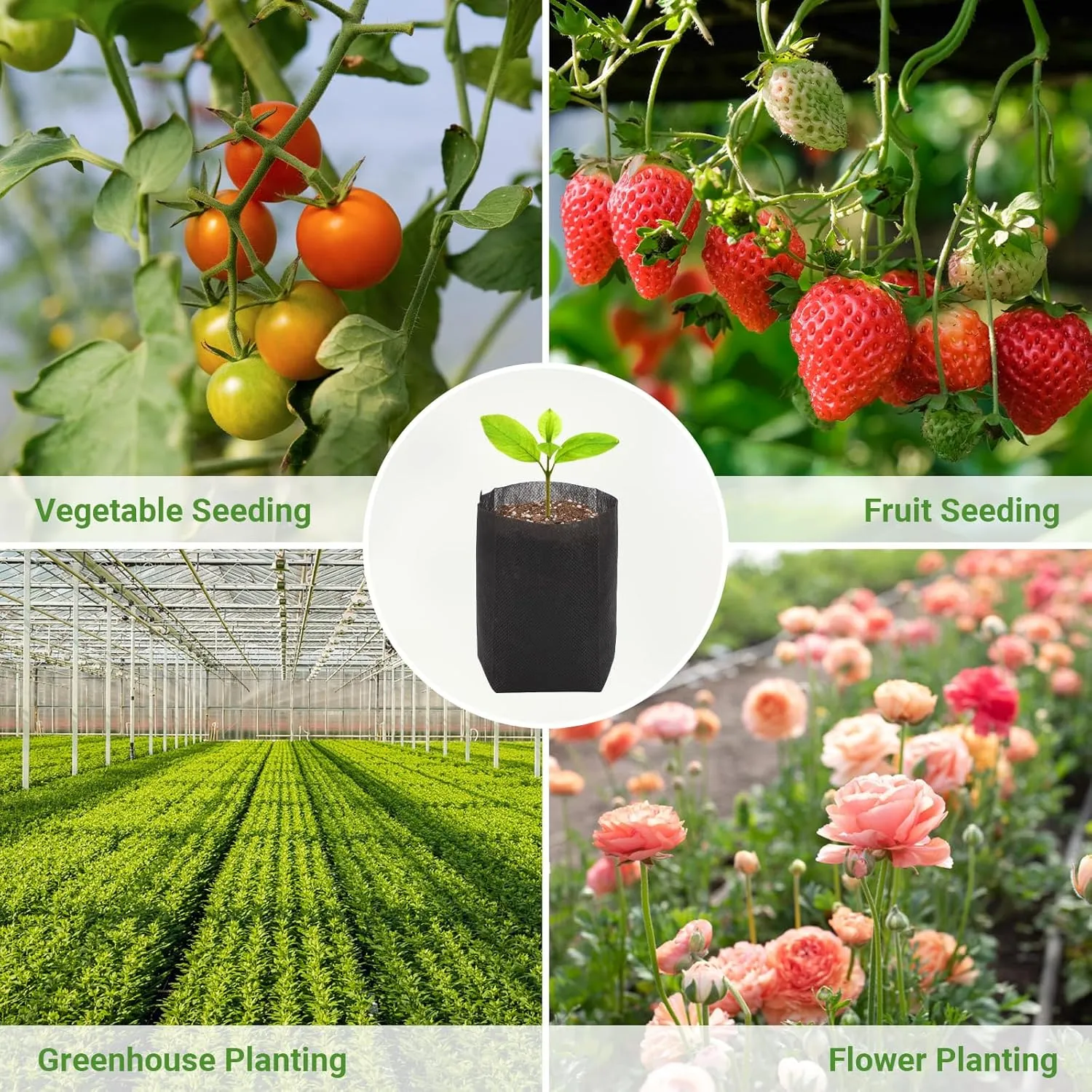 GREANER 200 PCS Biodegradable Grow Bags, Non-Woven Fabric Growing Pouches, Plant Nursery Bags for Planting, Grow Bags for Seed Starting, Soil Transplant, Home Garden Supply(5.5x5.7in)