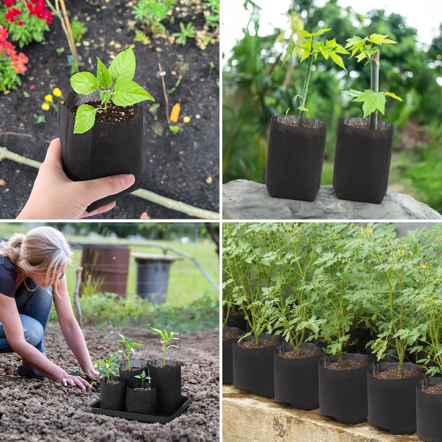 GREANER 200 PCS Biodegradable Grow Bags, Non-Woven Fabric Growing Pouches, Plant Nursery Bags for Planting, Grow Bags for Seed Starting, Soil Transplant, Home Garden Supply(5.5x5.7in)